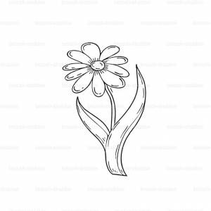 ШАБЛОН РОМАШКА