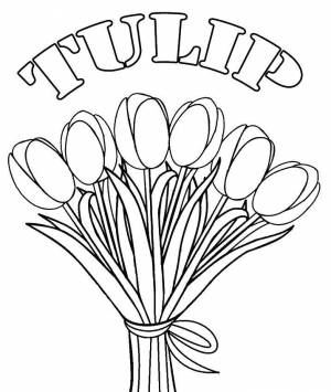 Раскраски тюльпанов, Раскраска Букет тюльпанов цветы