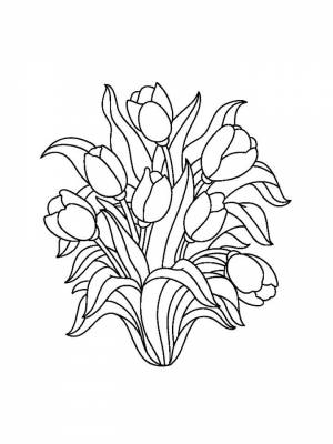 Раскраски цветы Тюльпаны   в формате
