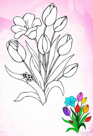 Весенние цветы рисунки карандашом