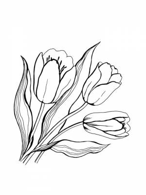 Картинка Весенние цветы черно белая для детей