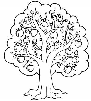 Дерево яблоня