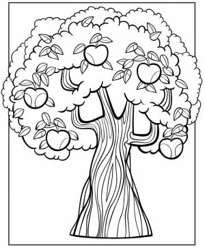 Раскраска яблоня 6