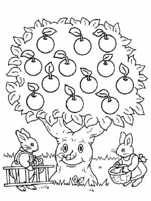 Раскраска Яблоня  в формате