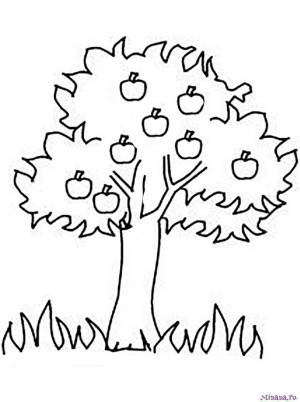 Раскраска яблоня
