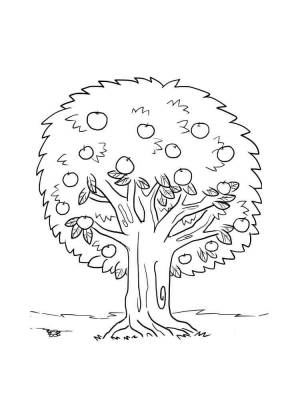 Раскраски Яблоня