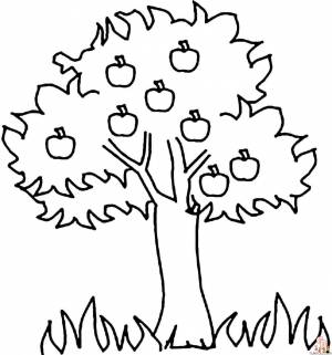 Найдите лучшие раскраски Apple Tree онлайн