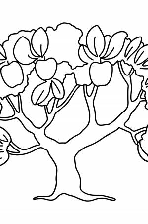Раскраска яблоня сложно ♥ Онлайн и !