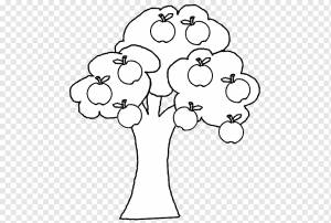 Черно-белый цветок, книжка-раскраска, яблоко, яблочный пирог, дерево, фруктовое дерево, яблочный пирог, страница, яблоко, яблочный пирог, яблочная водка png