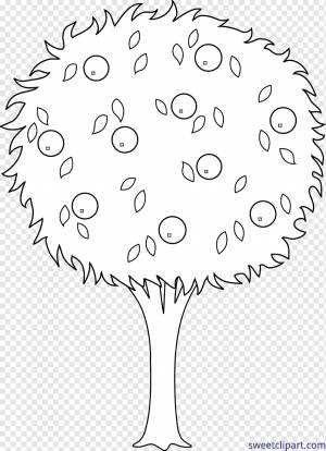 Книга Черно-белая, ГРАНИЦЫ И РАМКИ, Апельсин, Дерево, Рисование, Штриховая графика, Книжка-раскраска, Текст, площадь, Черное и белое, границы и рамки png