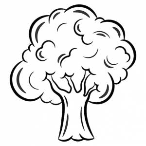 Дерево милый рисунок для школьной карточки эскиз для раскраски