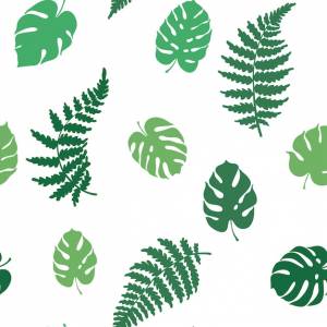 ботаническая иллюстрация листьев папоротника и монстеры изолированный контурный рисунок тропического растения