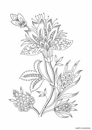 Цветок папоротника раскраска