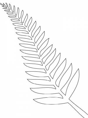 Раскраска Папоротник   в формате