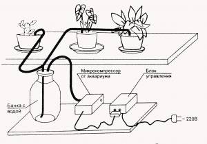 Автоматический полив комнатных растений