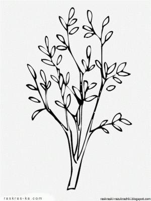 Раскраска кустарники