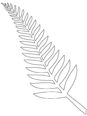Раскраска Папоротник