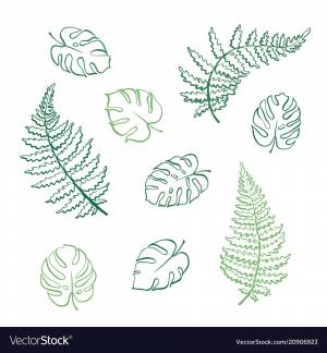 Папоротник рисунок для детей