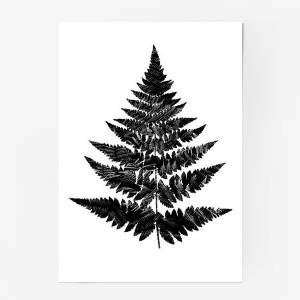 Постер «Папоротник
