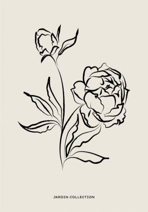 Постеры и картины ”ПИОНЫ РИСУНОК ”