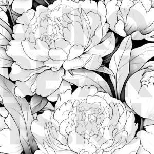 Раскраска «Пионы» для печати