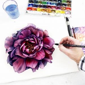 Пион нарисованный акварелью