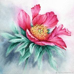 Рисунок Ярко-розовый пион акварель