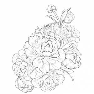 Иллюстрация цветка пиона, векторный рисунок карандашом, страница раскраски букета цветов и книга