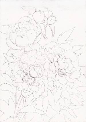 Реалистичное изображение розовых пионов в смешанной технике