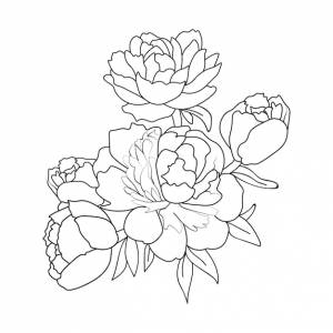 Набор нарисованных вручную черно-белых цветков пиона карандашом, каракули, татуировки, раскраски для взрослых