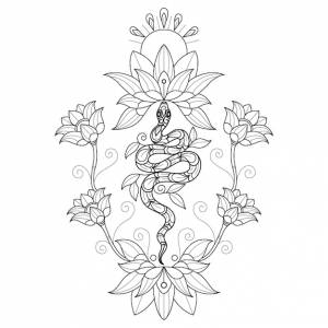 Кувшинка и змея рисованной для взрослых книжка-раскраска