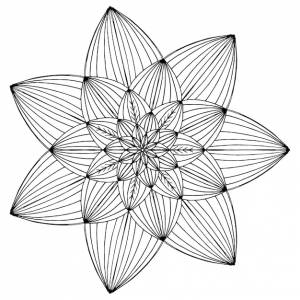 Кувшинка детская раскраска рисунок листья разных растений и деревьев черно-белая снежинка