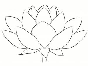 DataLife Engine > Версия для печати > Кувшинка трафарет