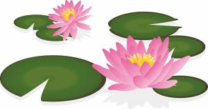 Лист кувшинки рисунок