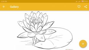 Рисунок белая кувшинка для детей