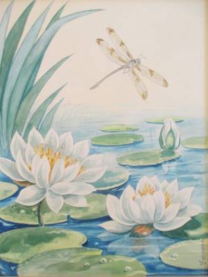 Рисунок кувшинки на воде