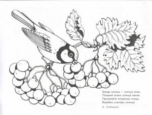 Расраски Калина