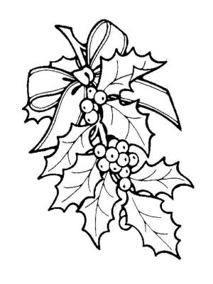 Раскраски Калина