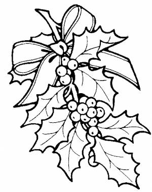 Раскраска Калина