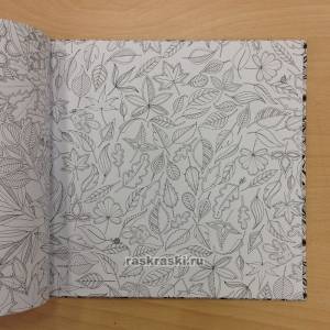 Книга раскраска «Таинственный сад», Джоанна Басфорд