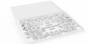 Раскраска-АнтиСтресс А5 20л ИСТЕРИКУ ЗАКАЗЫВАЛИ? 05-00007