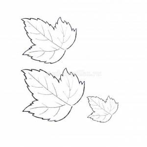 Ветка калины из фоамирана своими руками