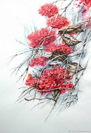 Рисунок Ноябрьская калина акварель