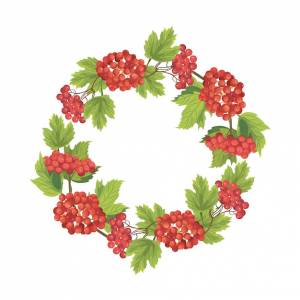 Венок с ягодами и цветами калины на белом фоне