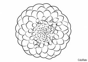 Раскраска Пушистый георгин