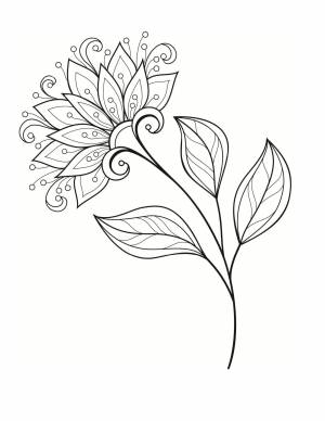 Цветок георгина