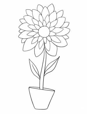Трафареты георгины в вазе