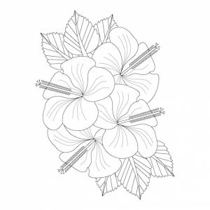 Цветок гибискуса раскраски страницы книги каракули линии искусства цветочный эскиз с векторной графикой