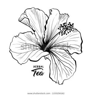 Гавайский гибискус аромат Цветок  Мальу