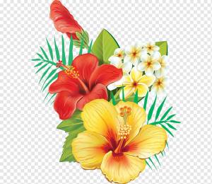 свежий гибискус, цветы, креатив, мультфильм png